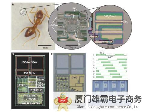 智能微型机器人拥有电子“大脑”，可以不受控制自主行走