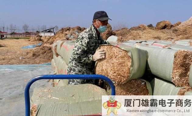 秸秆摇身变成绿色燃料 生物质能产业让秸秆成了“香饽饽”