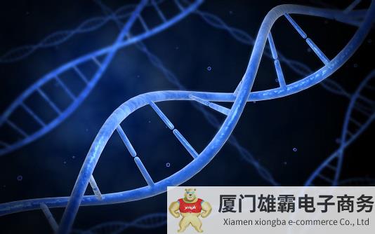 下一个重磅药物的掘金之地？RNA 治疗行业路在何方？