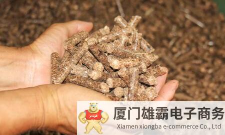 木废料“蜕变”成生物质能，能带来哪些好处？国内外都有相关技术