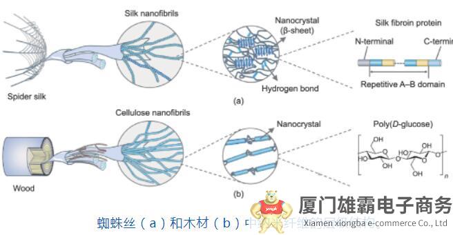 史无前例！乌国添加丝纤维的造纸技术被应用于防伪，引发广泛关注