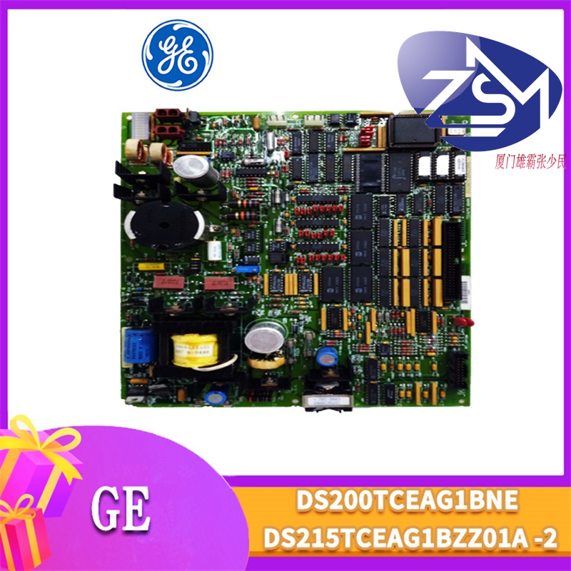 GE-DS200TCEAG1BNE-DS215TCEAG1BZZ01A-(1).jpg