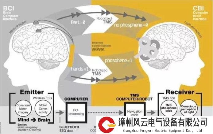 让失语者“发声”、利用脑电波复现歌曲……脑机接口不断取得新突破