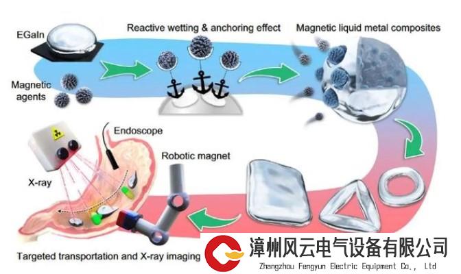 动态变形还不怕撞！新型液态金属磁性微型机器人，突破医疗设备局限性 