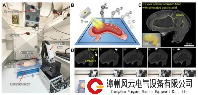 动态变形还不怕撞！新型液态金属磁性微型机器人，突破医疗设备局限性 