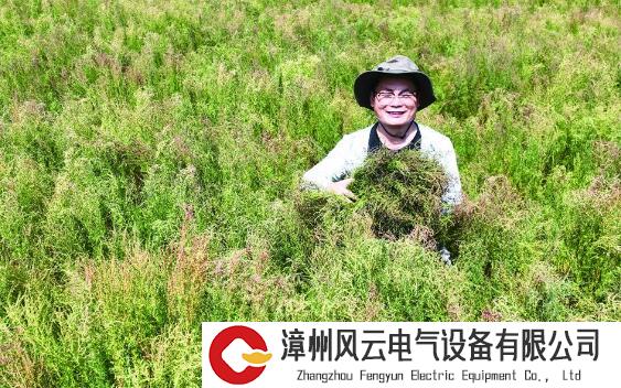 吉林省最大单体盐碱地迎丰收！扒一扒高产背后来之不易的黑科技