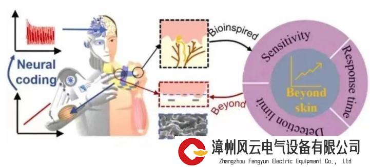 攻关三道“关卡”！东南大学研发的“电子皮肤”，让机器人拥有“类人”触觉