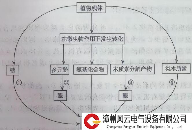 定向腐殖能带来哪些生态和经济效益？园林垃圾实现“极限利用”