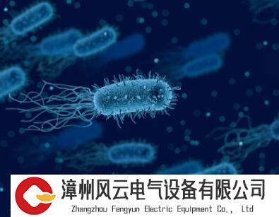 用微生物解决塑料危机，想说爱你不容易，大规模部署还面临哪些挑战？