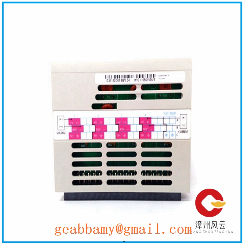 1C31132G01  | MODULE 模块